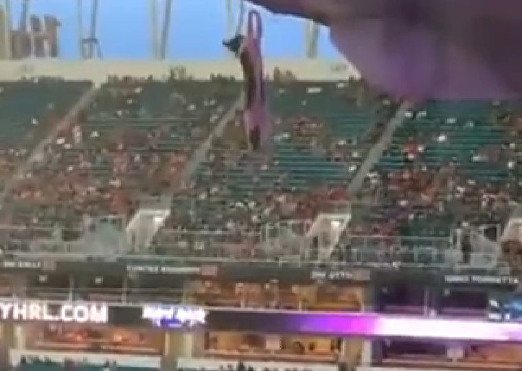 Video: un gato voló desde la tribuna y los hinchas lo salvaron con una bandera